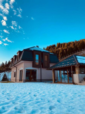 Luxury Villa Kadic